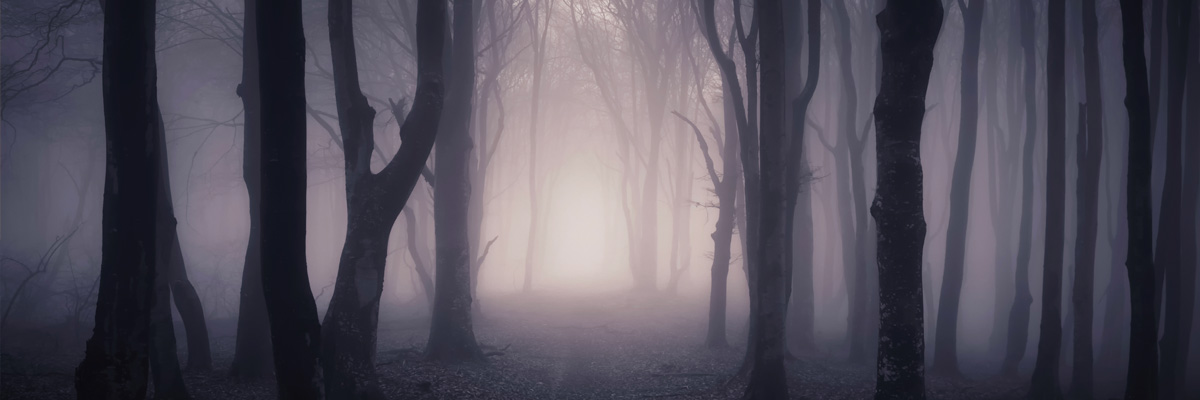 the tides of past tunes