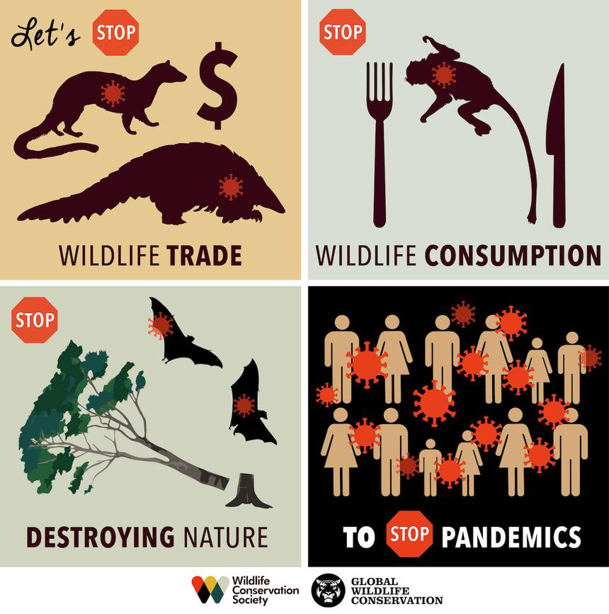 Environment After CoVid 19