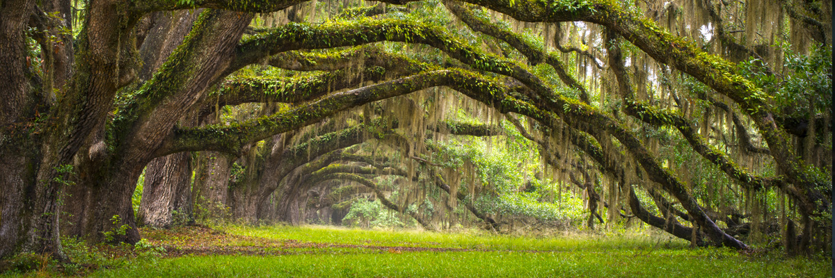 Tales will never get old if you dont read them