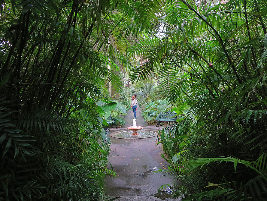 MM trips 2018 ischia 6