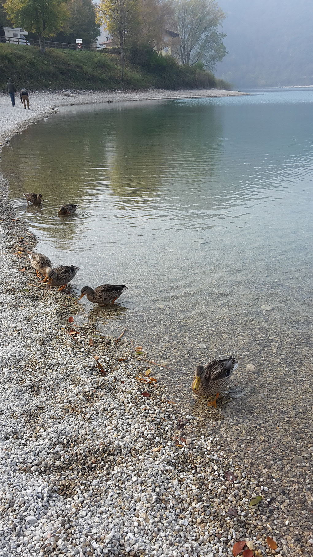 MM trips 2018 lakegarda 1