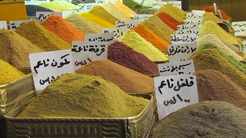 alumni syria/syria 10