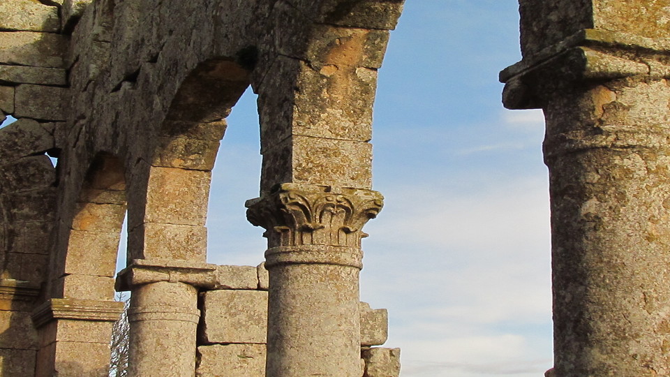 alumni syria/syria 7