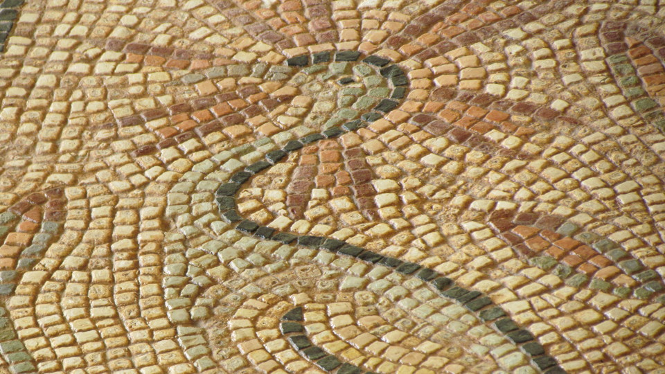 alumni syria/syria 8