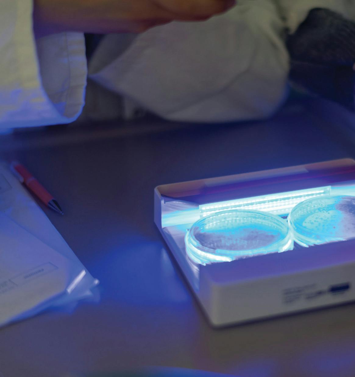 blog/molecular genetics