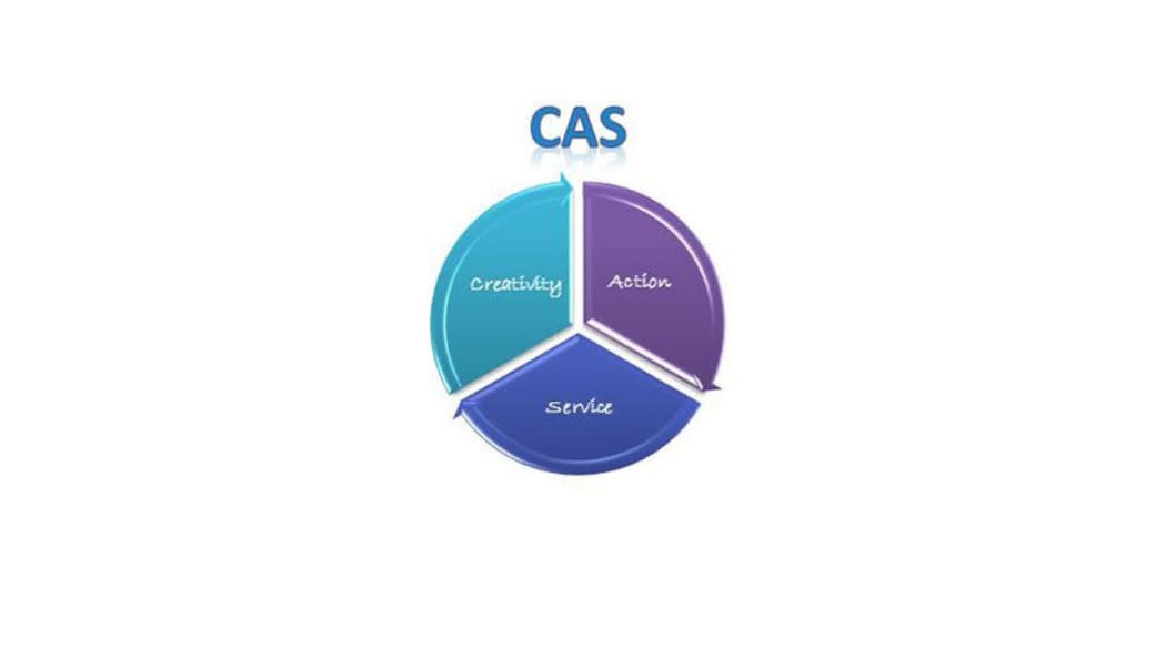 news/SSS news CAS