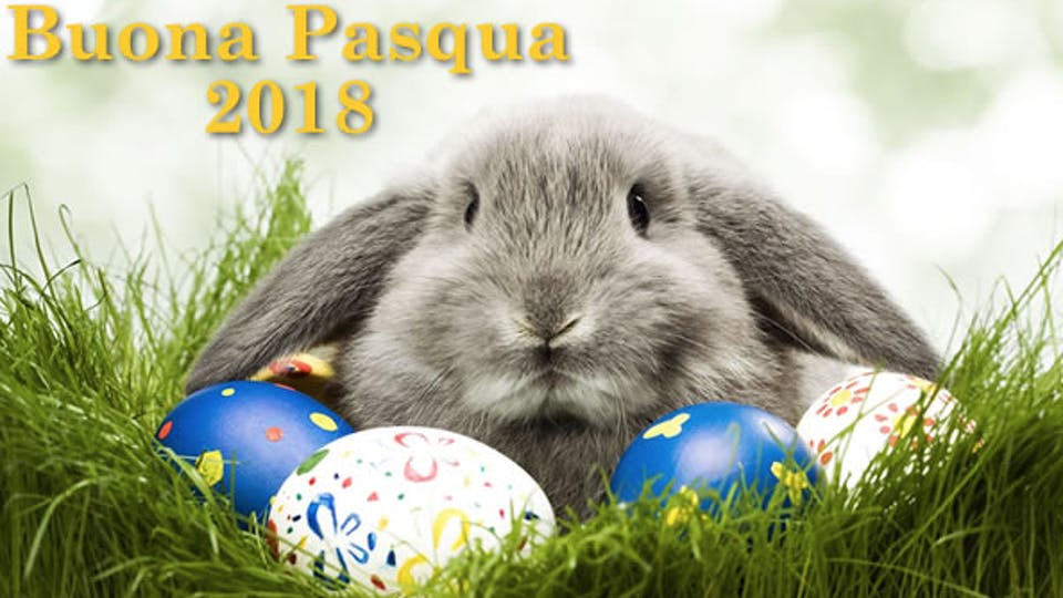 news/sss news Happy Easter Buona Pasqua