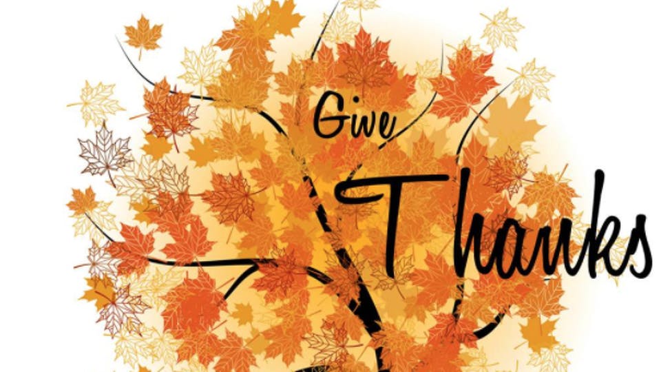 news/sss news Happy Thanksgiving 2017