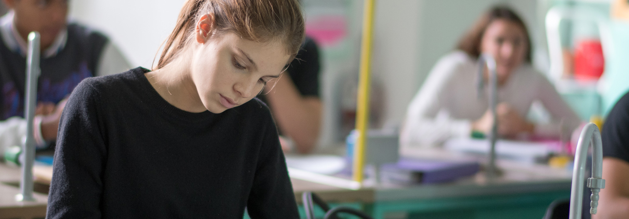 strategic priorities banner